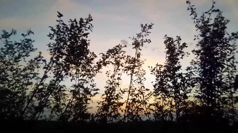 View, shinee, always Stock Footage 172302303