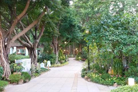View in Shing Mun Valley Park in Tai Wo Hau, Hong Kong. Stock Photos