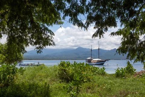 View of the ship in the sea through the trees Stock Photos