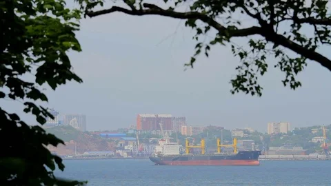 View of the ship in the Strait Bosphorus Eastern of Vladivostok Stock Footage 77788136