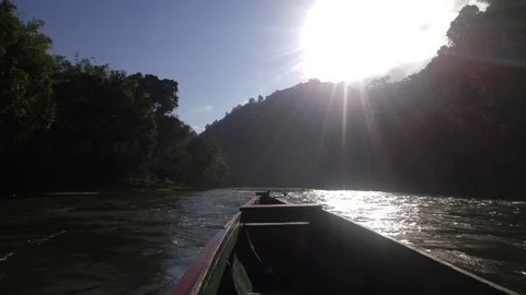 View from the ship on the way through the river in the jungle Stock Footage 232978997