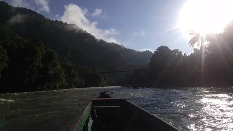 View from the ship on the way through the river in the jungle Stock Footage 232979009