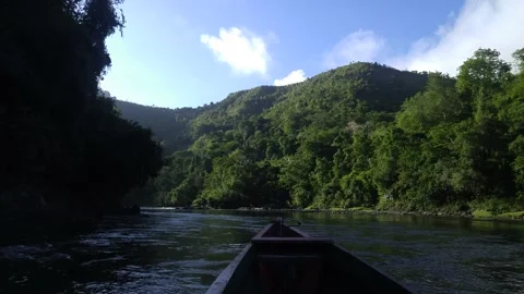 View from the ship on the way through the river in the jungle Stock Footage 232979088