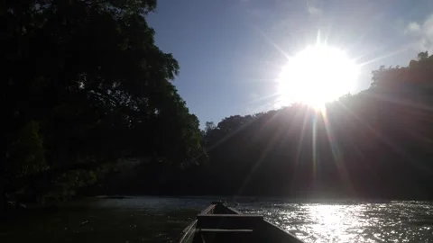 View from the ship on the way through the river in the jungle Stock Footage 232979152