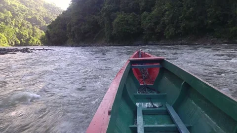 View from the ship on the way through the river in the jungle Stock Footage 232979163