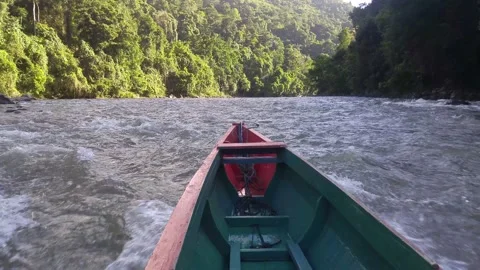 View from the ship on the way through the river in the jungle Stock Footage 232979164