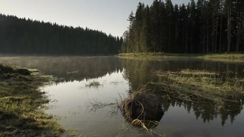 View of Shiroka Polyana (Wide Meadow) dam, Rhodope Mountains, Bulgaria. Video stock 336896090