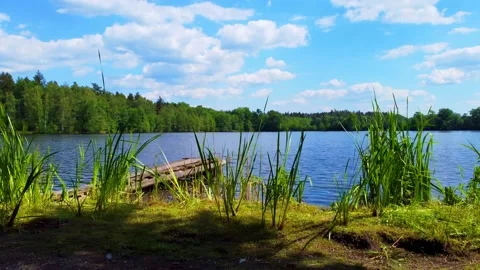 A view from the shore Stock Footage 197844896