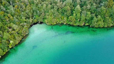 View of shore on lake Видео 251505524