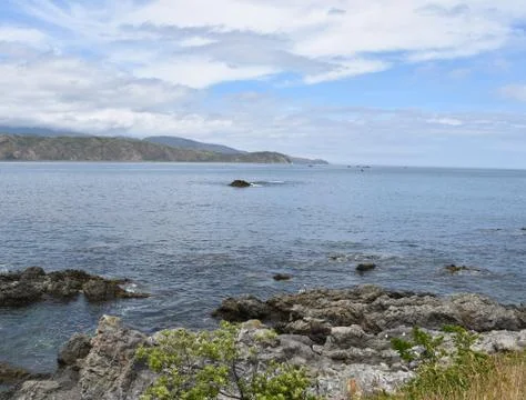 A view from the shore Stockfoto's