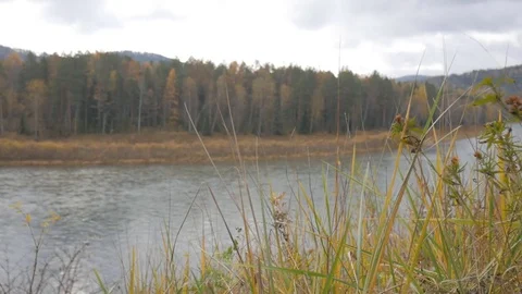 The view from the shore of the river Stock Footage 81033524