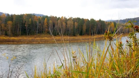 The view from the shore of the river Stock Footage 81034715