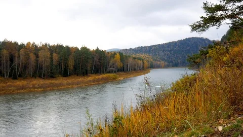 The view from the shore of the river Stock Footage 81035179