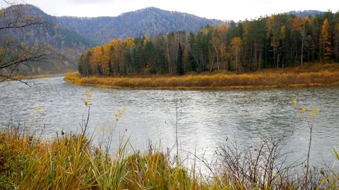 The view from the shore of the river Stock Footage 81038508