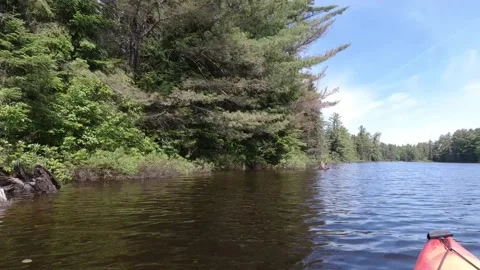 View of shoreline with trees from canoe in Algonquin Park Canada. POV Stock Footage 277453085