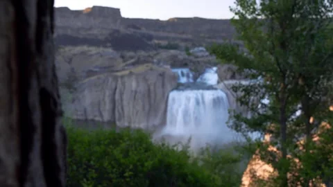 View of Shoshone Falls framed by tree bark, United States. 스톡 동영상 344411028