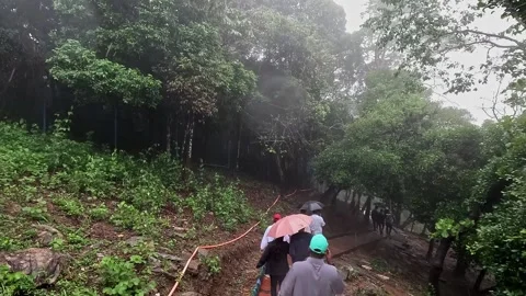 A view shows Hikers Navigate Narrow Pathway Surrounded by Lush Greenery on .. Video stock 332353472