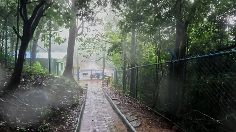 A view shows paved pathway surrounded by dense lush trees leading toward a .. Video stock 332353520