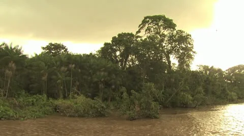 View of Shroeline from A Boat On the Amazon River 5 스톡 동영상 19046233