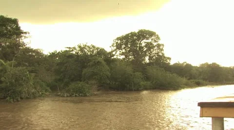 View of Shroeline from A Boat On the Amazon River 6 Video stock 19046408
