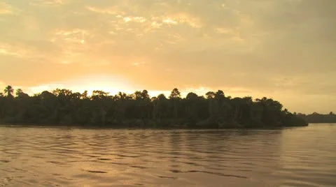 View of Shroeline from A Boat On the Amazon River 3 스톡 동영상 19244487