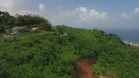 view of shrubs, trees, a small ravine, a... | Stock Video | Pond5