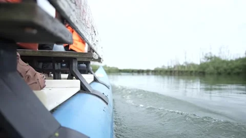 View from the side of the boat going through the mangrove forest Stock Footage 255869383