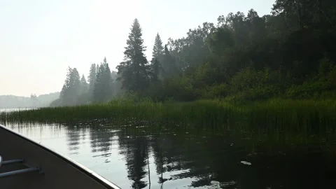 View from the side of a canoe that is drifting along a shore covered in trees Stock Footage 274360335