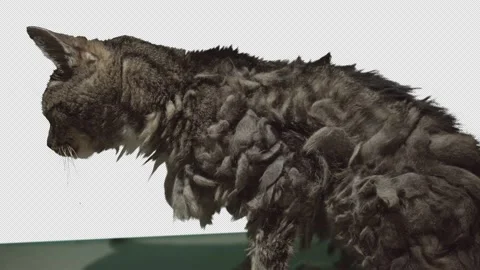 View from the side Видео 171336221