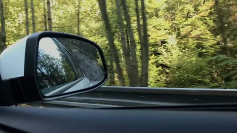 View in side mirror from vehicle on road. Driving a car along forest. Stock Footage 118340313