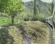 View from side of moving train of trees SD Footage