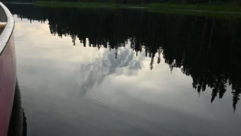 View from the side of a red canoe of still water that is reflecting a forest  Stock Footage 279097033