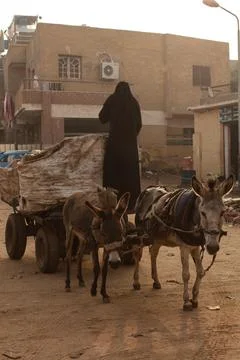 View from the side of the slums of the Egyptian pyramids in Giza Stock Photos