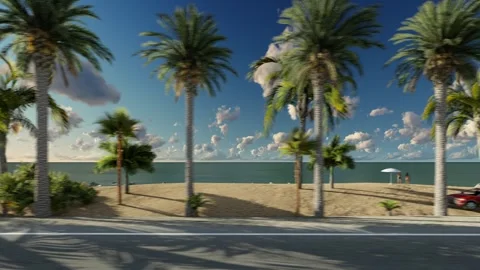View from the side window of the car, driving along the palm beach Stock Footage 243167380