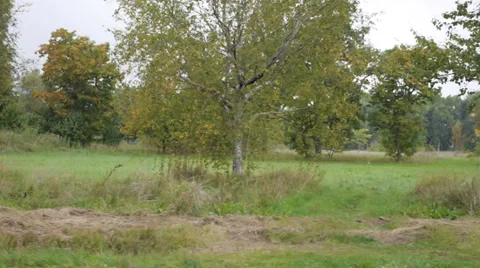 View from the side window of the car Stock Footage 37730571