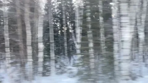 View from the side window of the car to the snowy forest. Video. Fast drive past Stock Footage 149388265