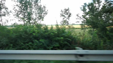 View from the side window of a moving car Stock Footage 151848709