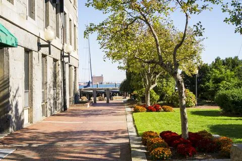 View of a sidewalk with facade of the building on one side and park with tree Stock Photos