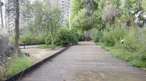 View of sidewalk with green trees and bushes in garden Stock Footage 63462811