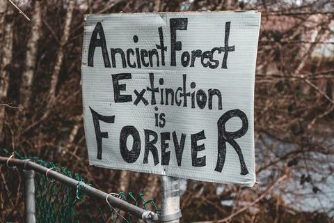 View of sign Ancient Forest Extinction is Forever attached to the fence Stock Photos