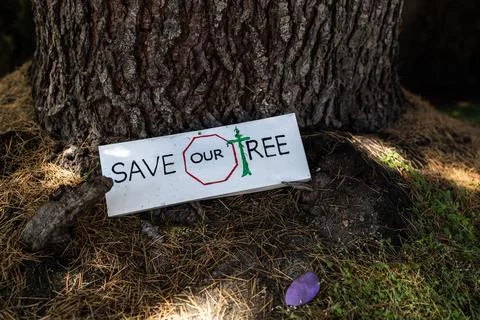 View of sign attached to the tree with text Save Our Trees Stock Photos
