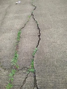 View of Significant cracks in the concrete surface Foto stock