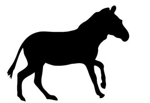 View on the silhouette of a moving zebra Illustrazione stock