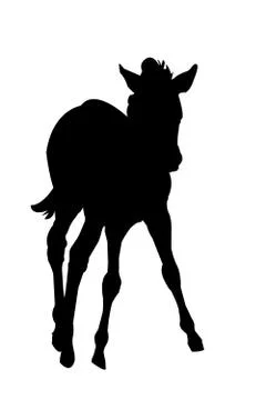 View on the silhouette of a Zebra Kitten Illustrazione stock