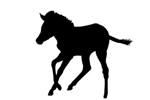 View on the silhouette of a Zebra Kitten Illustrazione stock