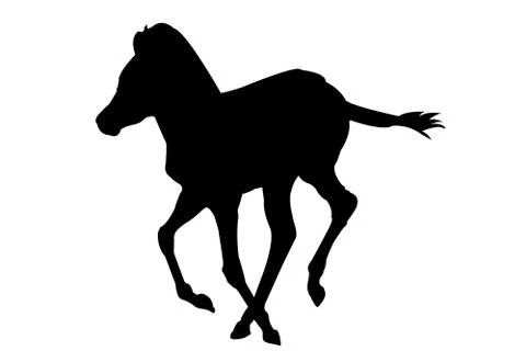 View on the silhouette of a Zebra Kitten Illustrazione stock