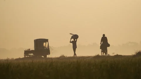 View of silhouettes of workers and a cyclist in a misty field, Bangladesh. Видео 335598198