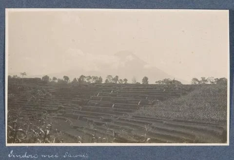 View of the Sindoro volcano on Java with in the foreground Sawas. Part of ... Stock-Fotos