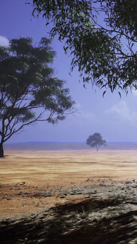 View of a single tree on a wide dry land under a blue sky with clouds Stock Footage 335092465