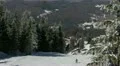 View of Skiers is Riding in the Mountains Snowed Trees Branches Winter Landscape HD Footage